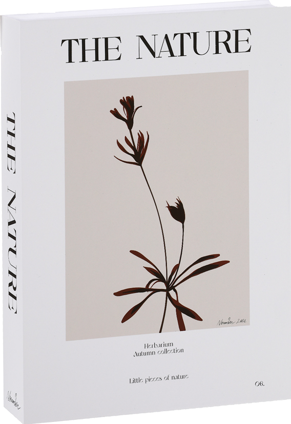 Książka dekoracyjna Nature Books 8 The Nature